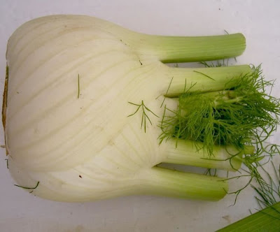 Fenchel Fenchel