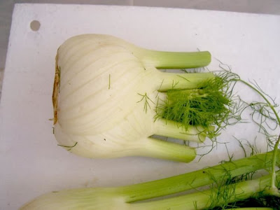 Fenchel Fenchel