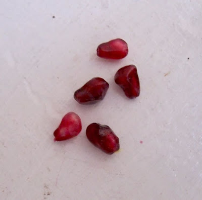Mangrano