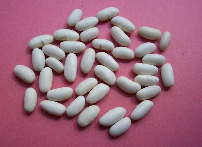Fagiuolo comune