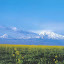 Ararat (41).jpg