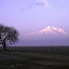 Ararat (47).jpg