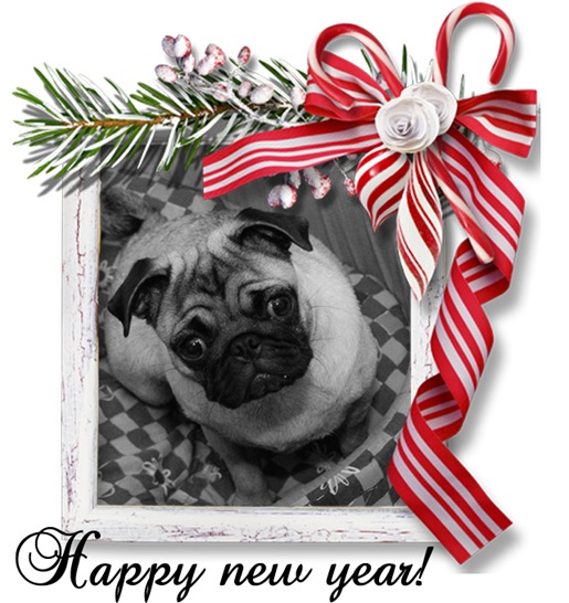 Luna_Happy_new_year