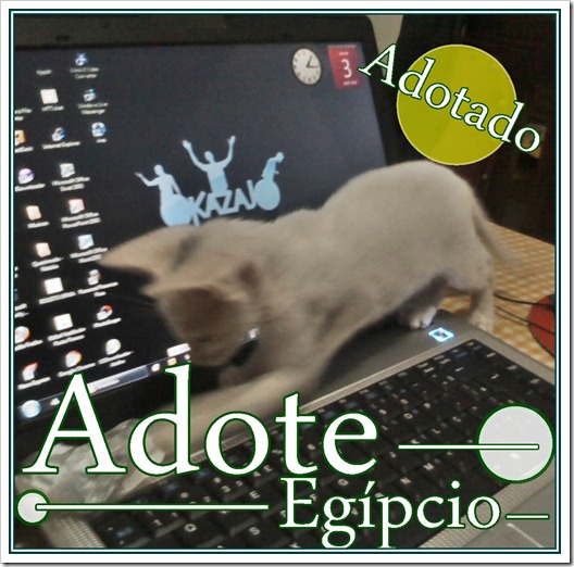 ADOTADO egípcio