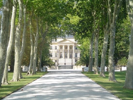 [margaux13.jpg]
