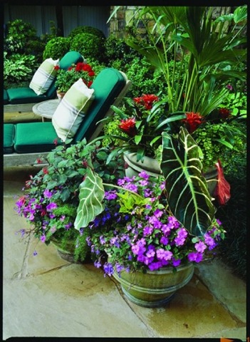 [container_garden[3].jpg]