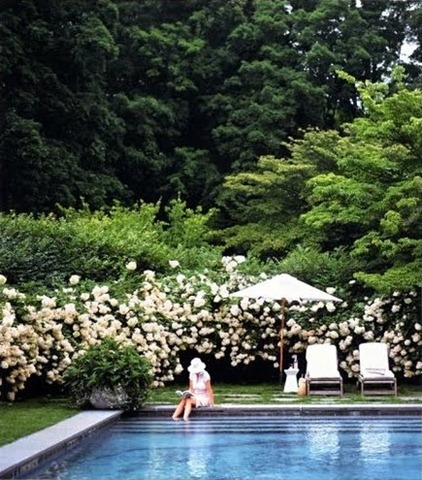 [ThePerfectPoolMarthaStewartLiving13.jpg]