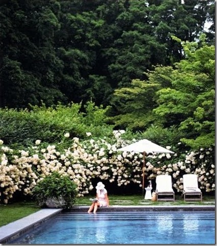 The Perfect Pool - Martha Stewart Living[1]