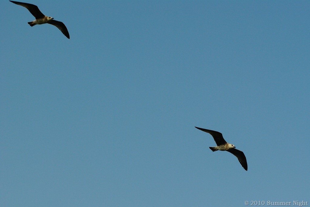 [DSC_0040 (2)[8].jpg]