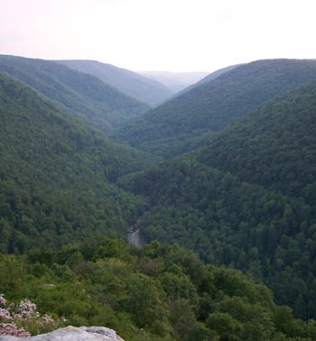 [appalachia62.jpg]