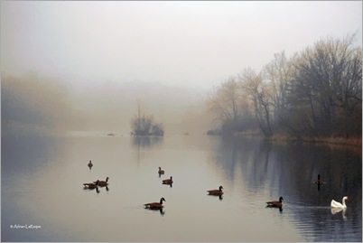 Lake_Final