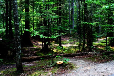 Franconia Franconia
