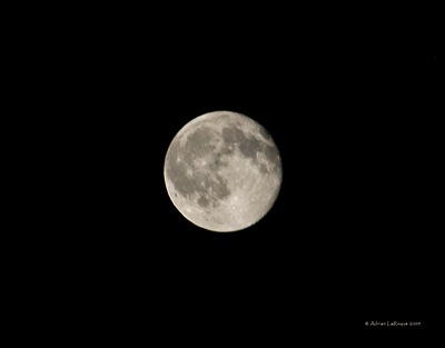 Moon Moon