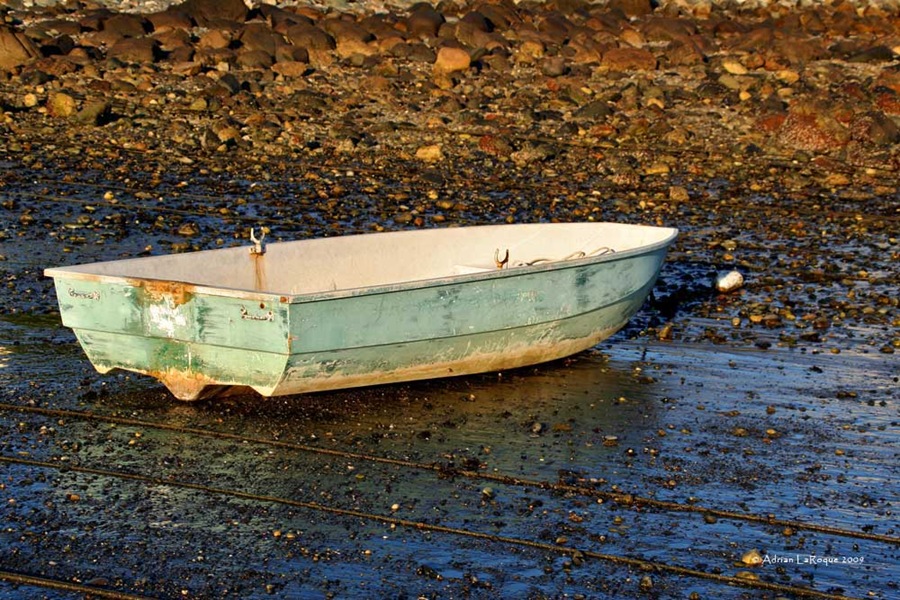 [Boat1[3].jpg]