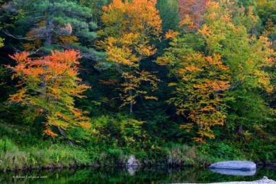 Autumn_2009 Autumn_2009