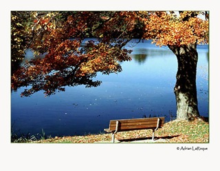 Pond Pond