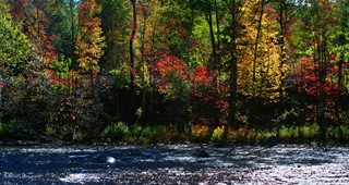 IMG_0068 IMG_0068
