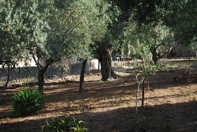 Private Garden Next to Church of Nations