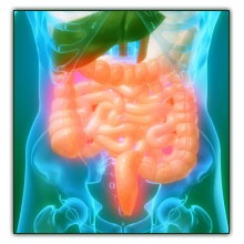 irritablebowel irritablebowel