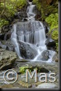 Valle_dAosta_cascata_bosco