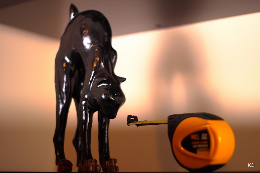 IMAGE: http://lh6.ggpht.com/_hdZasF15SMc/TJQxkSDsTRI/AAAAAAAANm8/M3uVZ_FbfS4/s912/2010_09_17_6865.JPG