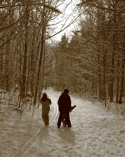 IMAGE: http://lh6.ggpht.com/_hdZasF15SMc/TSkaAV3Xu6I/AAAAAAAAQT0/4e1RQ9vWNds/s512/IMG_8160.JPG