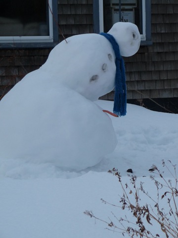 [poor snowman![3].jpg]