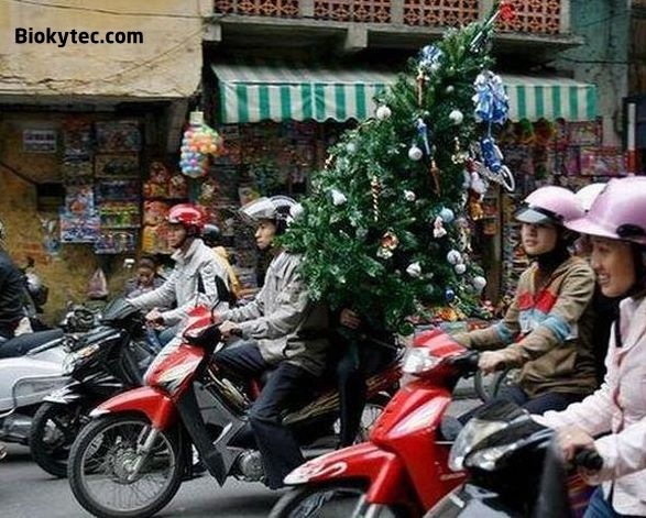 Transportando cosas en china - www.Biokytec.com - bye-7