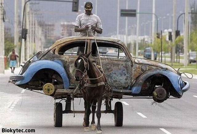 Transportando cosas en china - www.Biokytec.com - bye-3