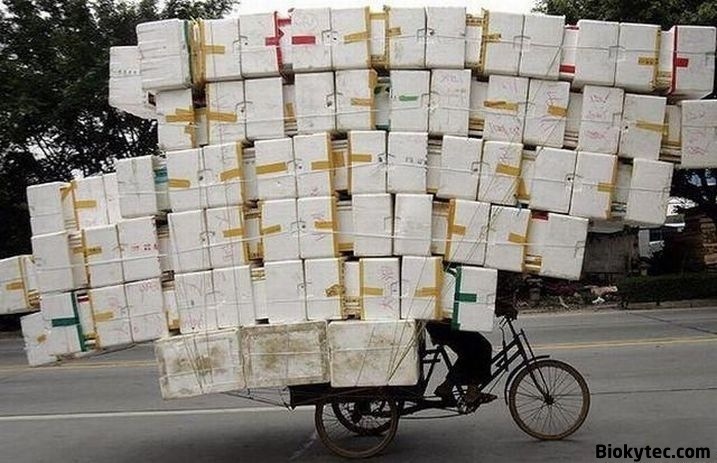 [Transportando cosas en china - www.Biokytec.com - bye-6[4].jpg]