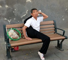 señor bien elastico - www.Biokytec.com