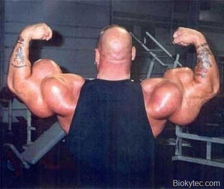 Musculos que dan asco - www.Biokytec.com-12