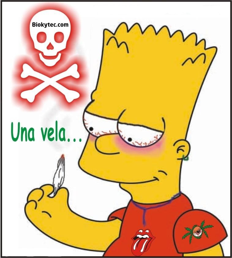 [foto de bart drogado - www.Biokytec.com - cool.jpg]