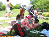 IMG_1665.JPG