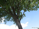 IMG_1582.JPG