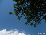 IMG_1591.JPG