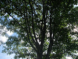 IMG_1638.JPG