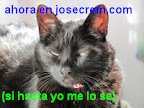 hasta Willi lo sabe ya