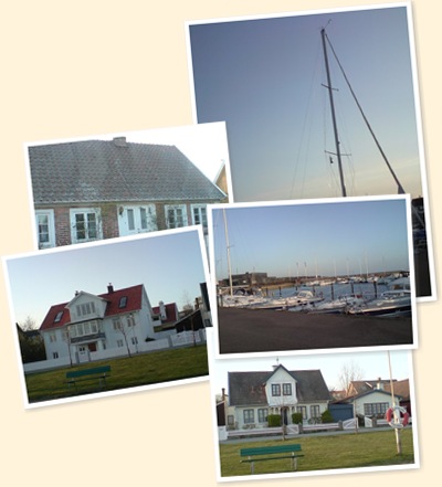 Visa viken