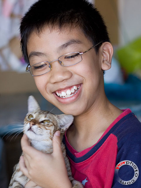 Zwee Yeek and The Stray Cat