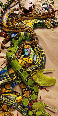 [mcqueen3.jpg]