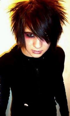 Scene Haircuts for Boys in 2010 Scene Haircuts for Boys in 2010