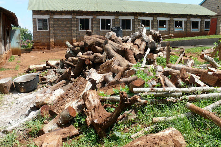 Giitune Primary School Firewood in the yard