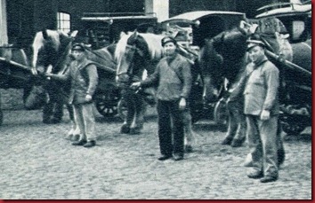 Brugse_Zot_Beer_horse_cars_350_225 Brugse_Zot_Beer_horse_cars_350_225