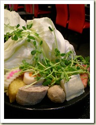 DSCN0884