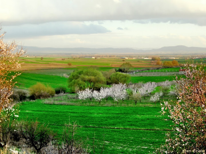 Doa ve Manzara Resimleri (5. Katalog)