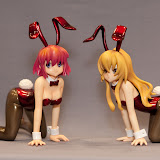 CARREYのらねこ同盟_とらドラ２.jpg