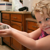 Baby Ben & The Baby Bird