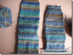 Socks and Tapestry 004