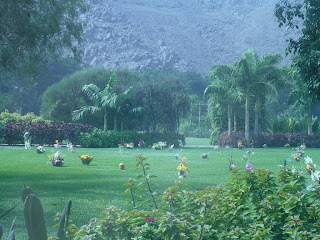 el cementerio es un lugar más paradisíaco que muchos barrios donde viven las personas